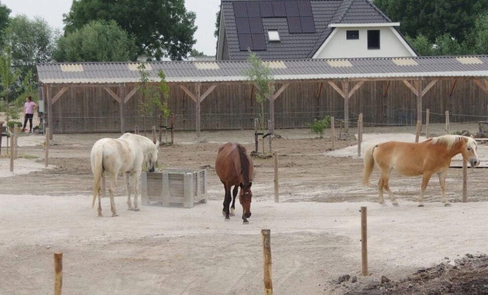 218289508_341353900812868_5057920270614892071_n-990x600-c-default