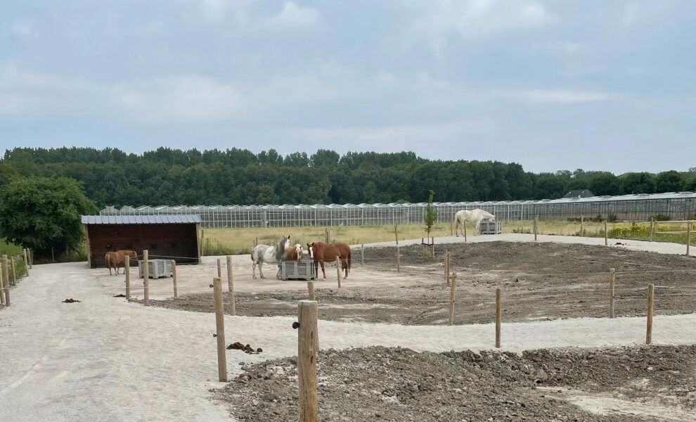 218805888_342144027400522_3914357882649751461_n-990x600-c-default