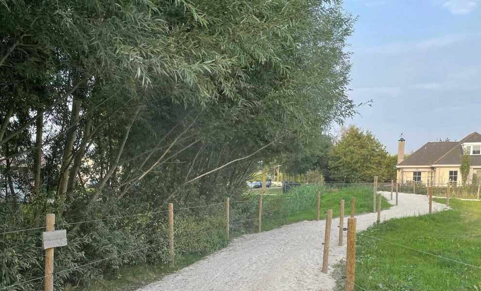 243033333_381669590114632_327280153993895555_n-990x600-c-default