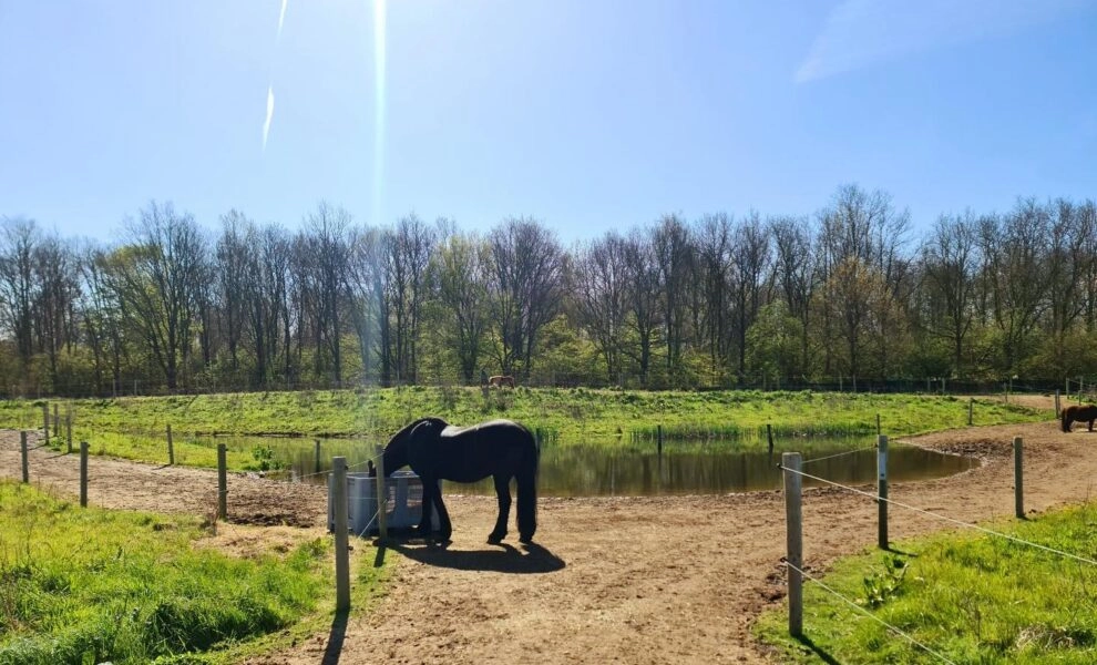 347221760_6241051479290148_8228508035696885565_n-990x600-c-default