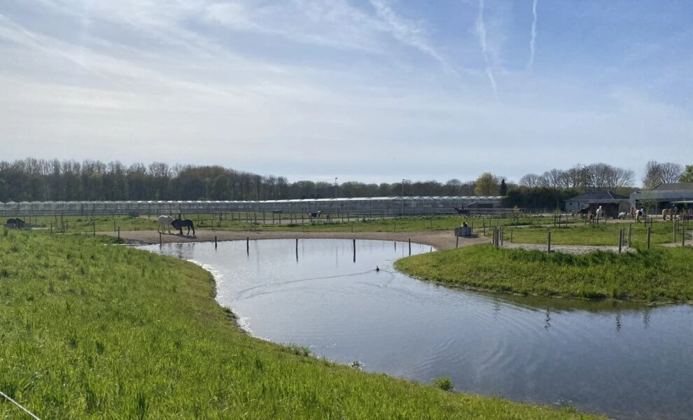 IMG_0733-990x600-c-default